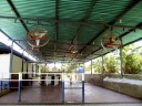 IMG_2721_1