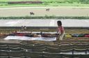 20110601_NACI1_1_2_F1