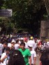 photo(15)