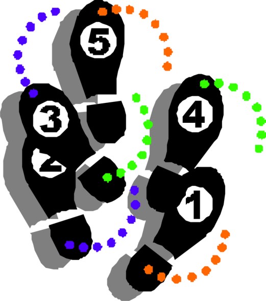 6a00d8341c4e6153ef010535a11220970c-800wi